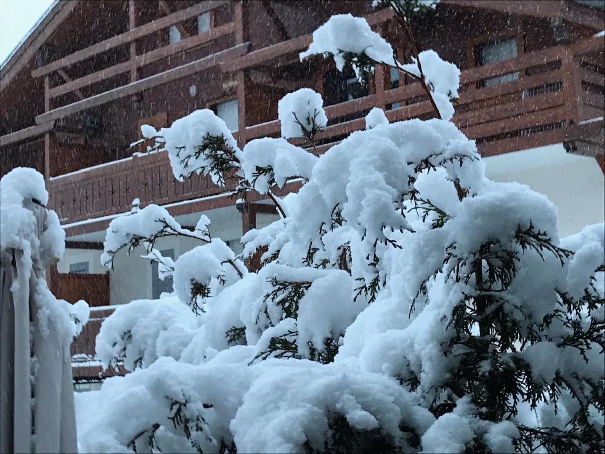 Le Hameau Des Neiges Lejlighed Praz-sur-Arly Eksteriør billede